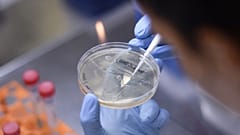 A researcher works on the development of a vaccine in Brazil
