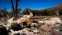 In Chile herrscht seit Monaten Dürre. Dieses Foto stammt von September.