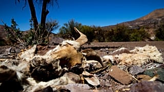 In Chile herrscht seit Monaten Dürre. Dieses Foto stammt von September.