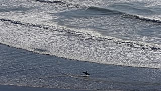New Zealand / FILE PHOTO