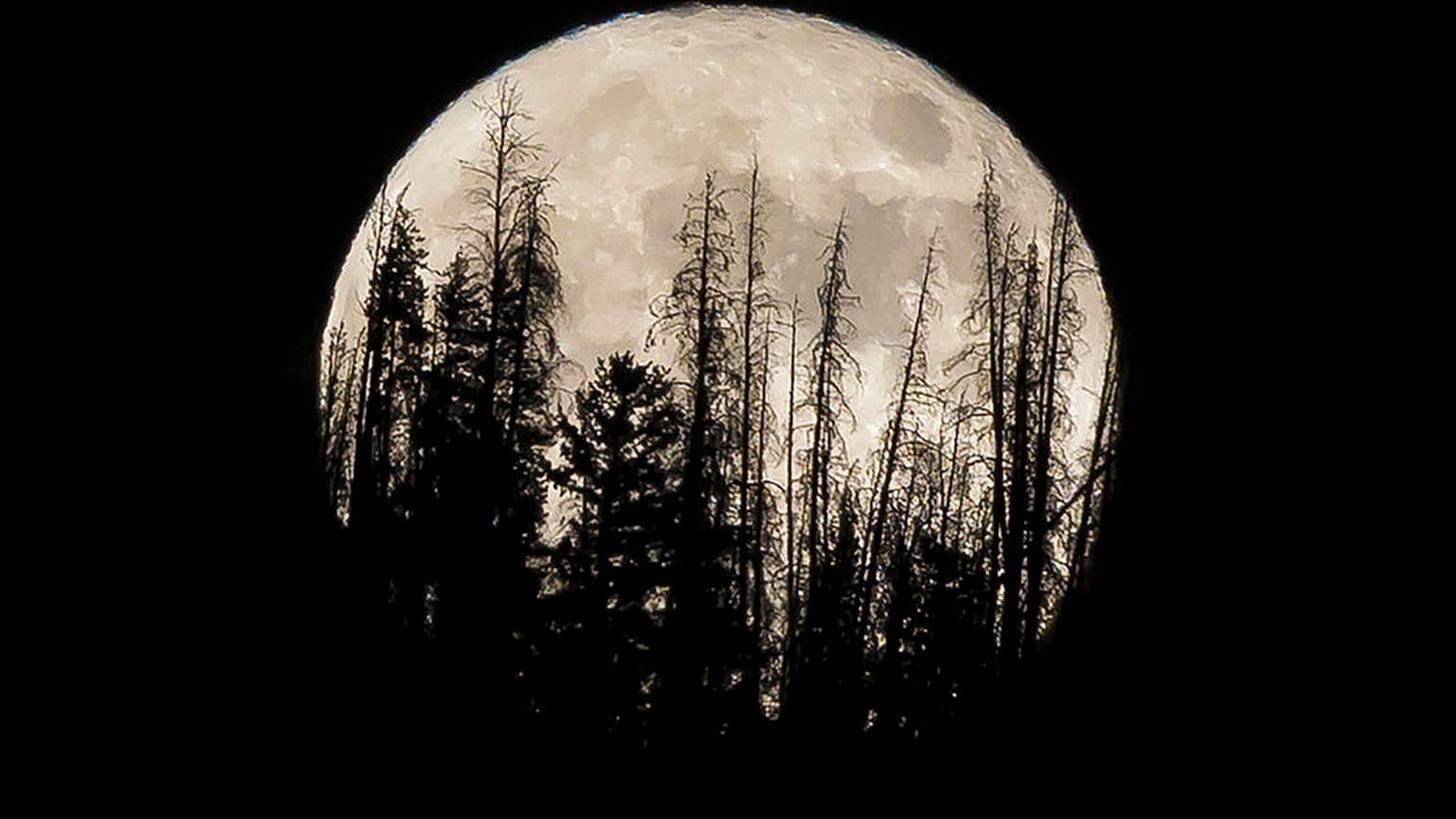 Archivo de la super luna de noviembre de 2016 en Colorado, EEUU