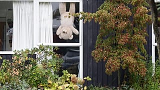 Belgien: Mit Teddybären gegen die Isolation