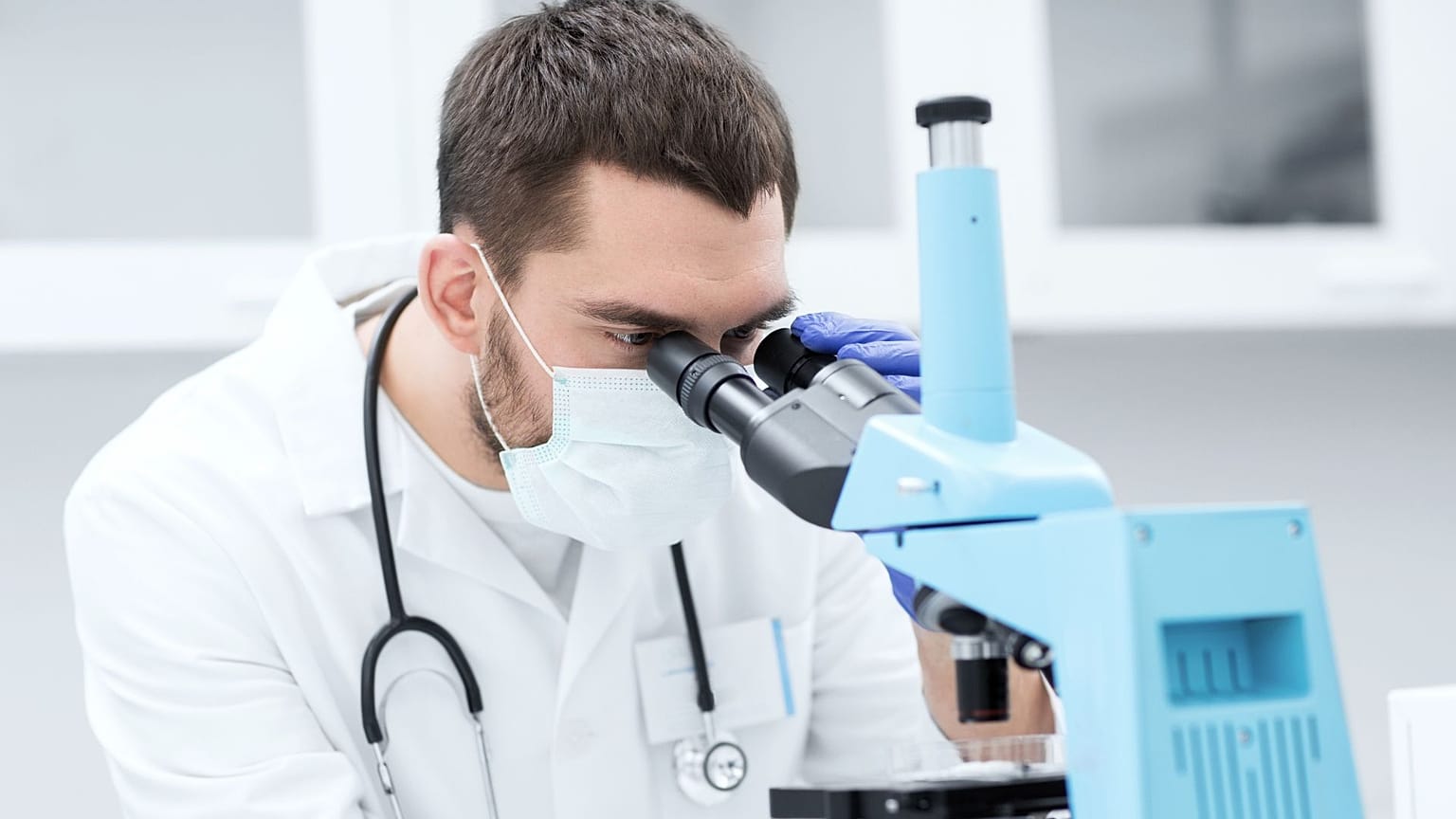 Scientists have discovered a type of bacteria that thrives on a plastic diet