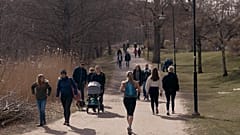 Menschen zu Coronazeiten in einem Park in Stockholm