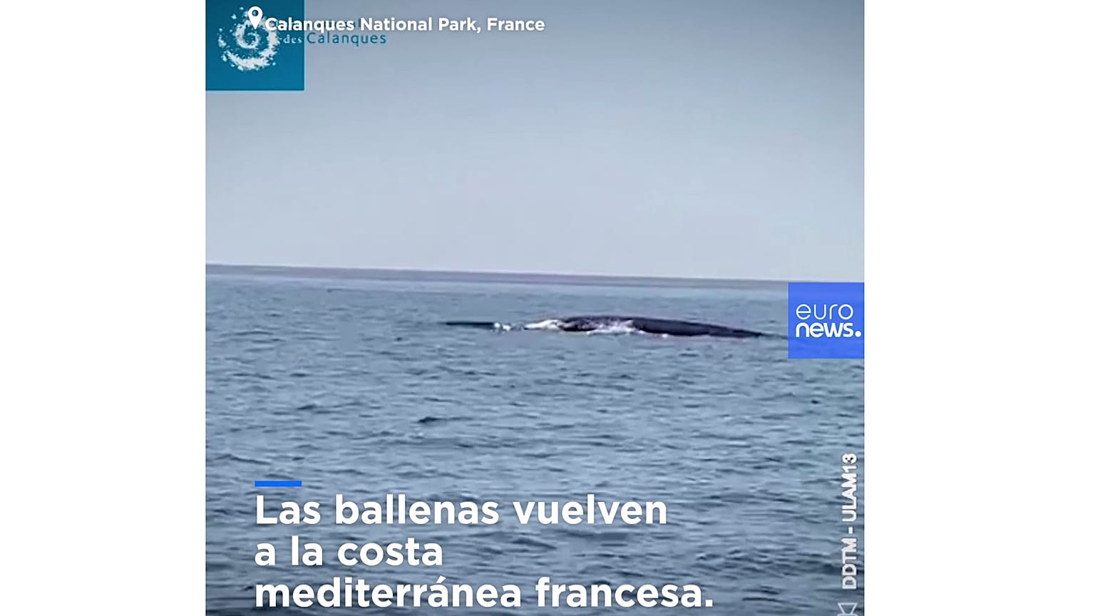 Captura de pantalla