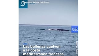 Captura de pantalla