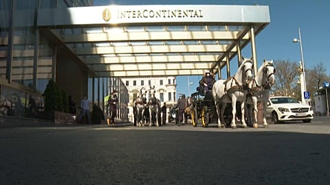 Seniors get horse-drawn carriage food deliveries in Vienna 