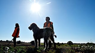 Photo d'illustration : scène de chasse en France en 2018