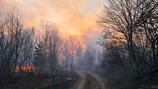 A forest fire burning near the village of Volodymyrivka, in the exclusion zone around the Chernobyl nuclear power plant, Ukraine, Sunday April 5, 2020.