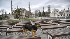 Covid-19 : la Turquie annonce un confinement de 48 heures dans 31 villes
