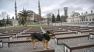 Turquía declara un toque de queda de 48 horas en más de 30 provincias