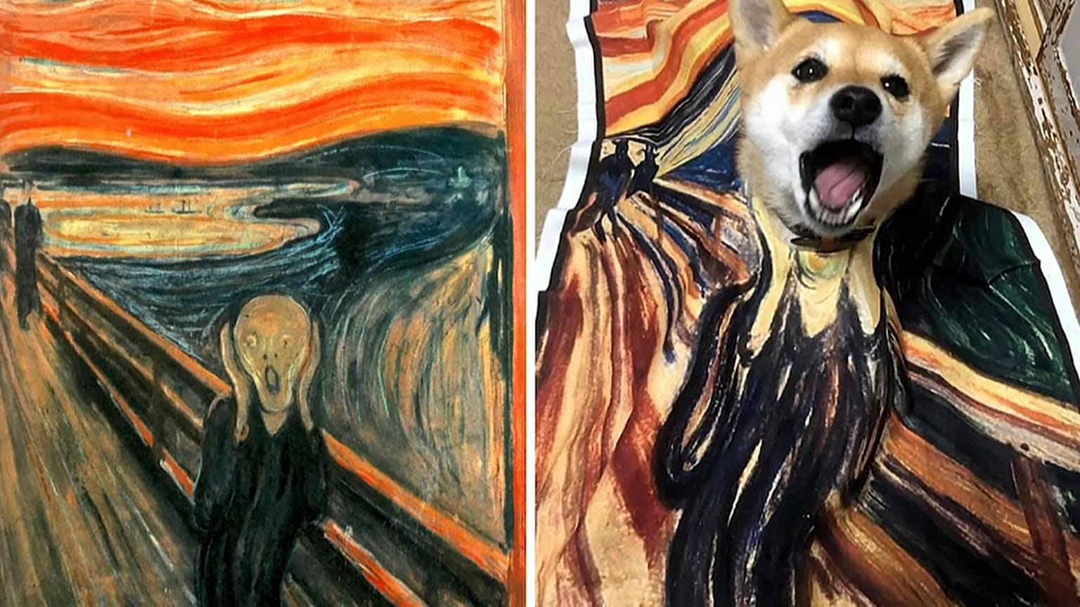 El arte de sublimar el confinamiento