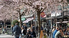 A svéd kormány arra kérte a lakosságot, hogy kerüljék a zsúfolt helyeket, de nincsenek korlátozások érvényben