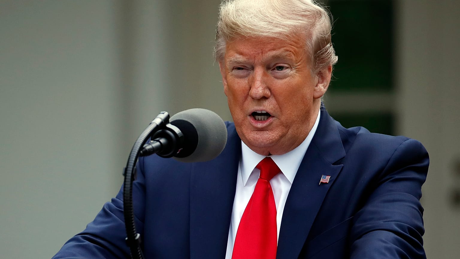 Donald Trump in the Rose Garden on Tuesday