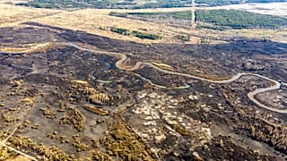 This aerial picture taken on April 12, 2020 shows the aftermath of a forest fire at a 30-kilometer (19-mile) Chernobyl exclusion zone in Ukraine