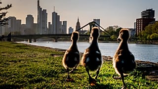 Germany Daily Life