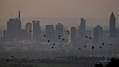Birds fly by the buildings of the banking district in Frankfurt, Germany, early Tuesday, April 14, 2020. Due to the coronavirus the economy expects worldwide heavy losses.