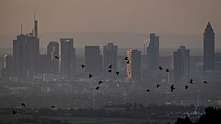 Birds fly by the buildings of the banking district in Frankfurt, Germany, early Tuesday, April 14, 2020. Due to the coronavirus the economy expects worldwide heavy losses.