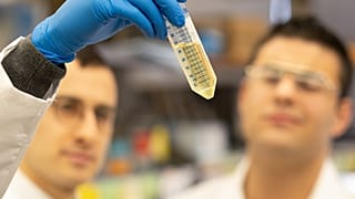 Feinstein Institutes scientists look at a test tube. (Credit: Northwell Health)