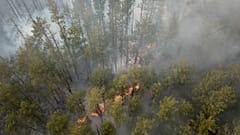 Waldbrände bei Tschernobyl gelöscht