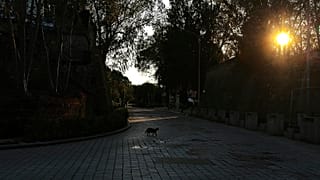 Virus Outbreak Cyprus
