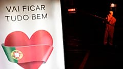 Дистанционное обучение в Португалии