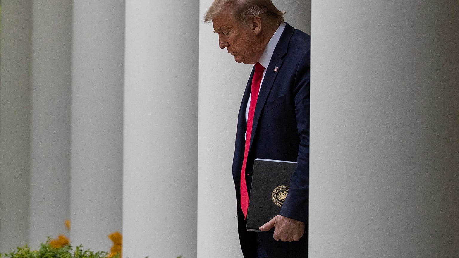 Trump's halt of funding to WHO comes amid increased criticism of US response