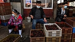 15 Nisan 2020, Vuhan / Çin