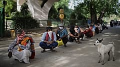 Virus Outbreak India