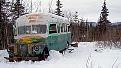 Into the Wild 