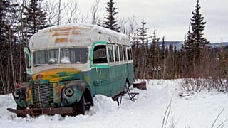 Into the Wild 