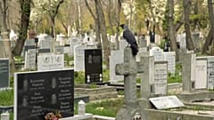 Σε ισχύ περιοριστικά μέτρα, παρά τον χαμηλό απολογισμό