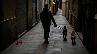 Virus Outbreak Spain