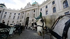 Fiaker in Wien in Coronazeiten - Archiv