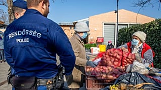 Hungary Virus Outbreak