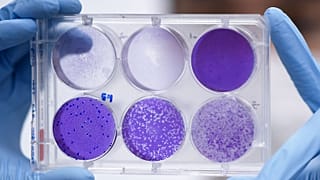 Un laboratoire brésilien travaillant à l'élaboration d'un vaccin contre le Covid-19, le 26 mars 2020 à Belo Horzonte au Brésil.
