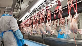 'Koronavirüs de dahil tüm 'zoonotik' hastalıkların sorumluluğu insana ait' 