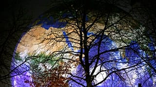 Killt das Coronavirus die EU-Klimapolitik?
