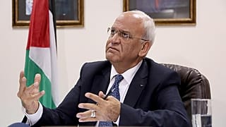 Saib Ureykat