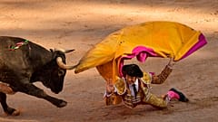 Spanish bullfighter Juan Leal falls in front a bull during a bullfight at the San Fermin Festival in Pamplona, northern Spain, Sunday, July 14, 2018.