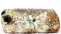 Mouldy bread is food waste