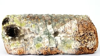 Mouldy bread is food waste