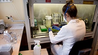 Koronavírus - A Nemzeti Népegészségügyi Központ Virológiai Laboratóriuma