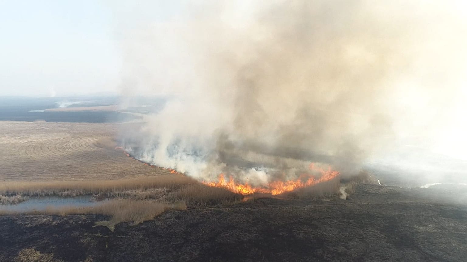 Pologne : le parc de Biebrza en proie aux flammes