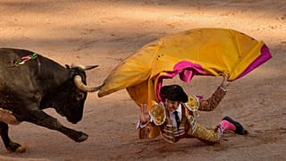 Koronavírus: Krízisben a spanyol bikatenyésztők 