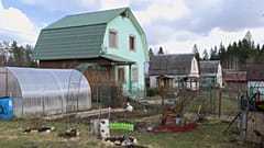 Дача снова в тренде: россияне бегут из города