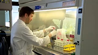 Le coronavirus détecté dans les eaux usées