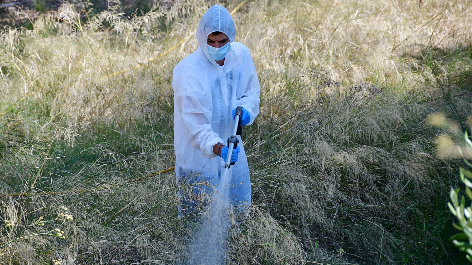 Σύστημα πρόγνωσης κινδύνου για τον ιό του Δυτικού Νείλου στην Κ. Μακεδονία