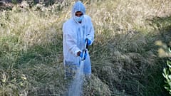 Σύστημα πρόγνωσης κινδύνου για τον ιό του Δυτικού Νείλου στην Κ. Μακεδονία