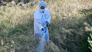 Σύστημα πρόγνωσης κινδύνου για τον ιό του Δυτικού Νείλου στην Κ. Μακεδονία